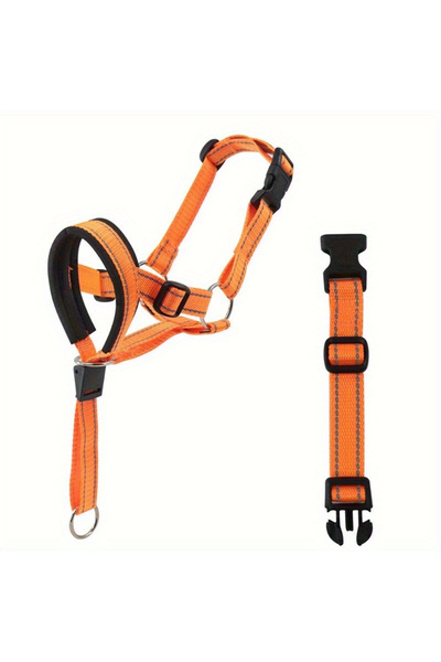 Choice5 L Orange 2-Pack Adjustable Nylon Dog Headgear with Reinforced Stitchi...