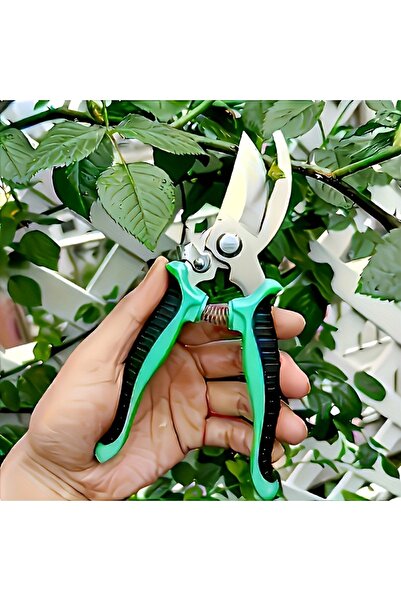 Choice3 green This gardening shear is super easy to use! A good helper for ga...