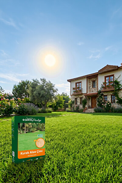 Genta Prestige Kurak Alan Çim Tohumu 1 Kg