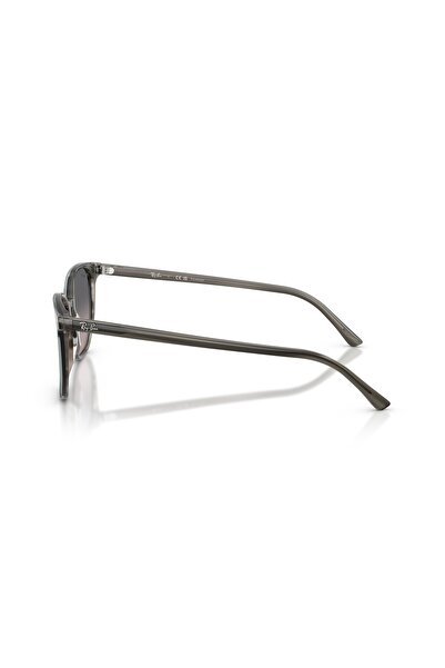 Ray-Ban Sunglasses Rb2197 52 1438m3