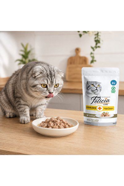 Felicia Hrană Umedă pentru Pisici Sterilizate, cu Pui în Aspic, Fără Cereale, 12 x 85 g