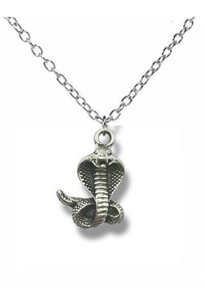 Herşey Nota Unisex Necklace with Cobra Figure – 60 cm Chain, Power and Protec...