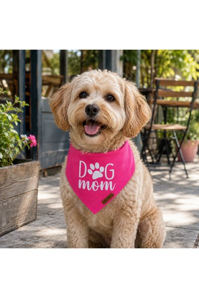 PATİMİO Dog Mom Kedi Ve Köpek Tasma Fular Bandana