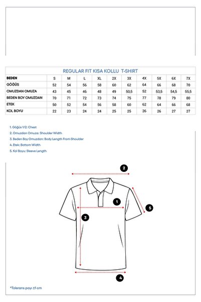 Kiğılı Polo-Kragen-T-Shirt aus Baumwolle mit Stickerei in regulärer Passform