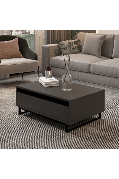 Nilah Hawk Modern Orta Sehpa Antrasit