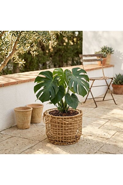 Zâna Casei Ψάθινο καλάθι με χερούλια Ø39x28εκ.