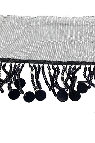 karantuhafiye Large Sequin and Sequin Embroidered Fringe with Tassels / 7 cm ...