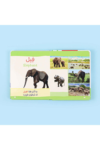 world accessories كتاب مونتيسوري الأول : الحيوانات باللمس