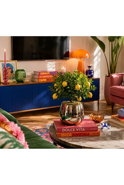 RoyalDecorHome Gümüş Cezve Saksı&Vazo, Kova, Çok Amaçlı Aksesuar
