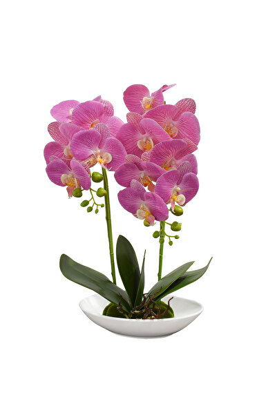 Naimeed Company Orhidee decorativă în ghiveci ceramic, 49 cm, Naimeed D4852, ...