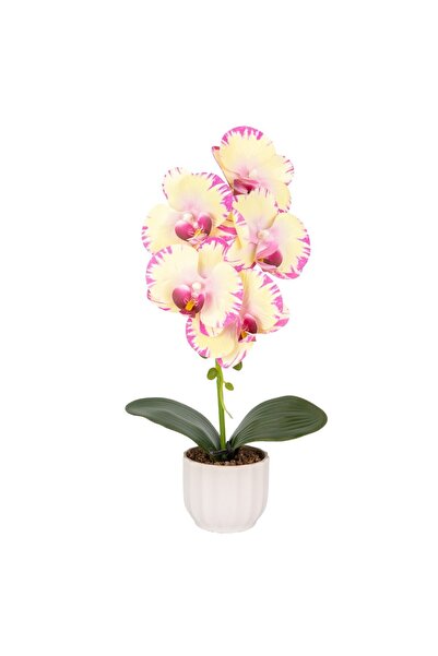 Naimeed Company -looking orchid in a ceramic pot, 42 cm, Naimeed D6881, Pale ...