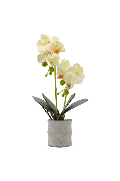 Naimeed Company -looking orchid in a ceramic pot, 35 cm, Naimeed D4849, Yellow