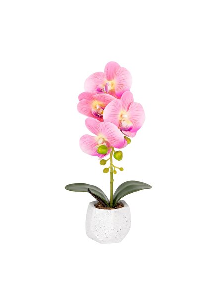 Naimeed Company Orhidee decorativă în ghiveci ceramic, 41 cm, Naimeed D6883, Roz