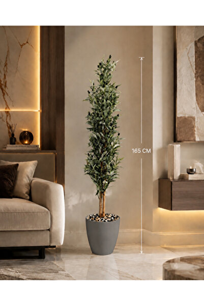 Rafef 165 cm Olive Tree with Stand