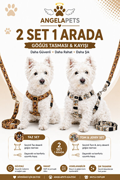 Angelapets 2 Sets in 1 Dog Chest Harness and Walking Strap Set