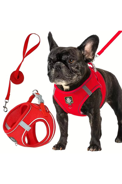 Choice16 XS（old） Red [Dog Walking Harness] 601 Small And Medium Dog Walking H...