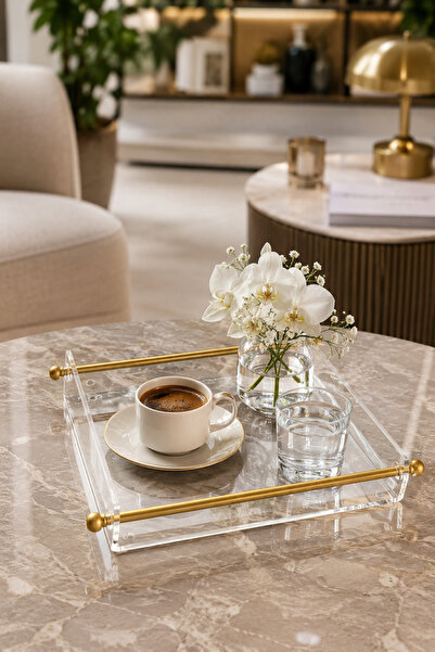 grandora Transparent 25X20 cm Coffee Side Serving Tray with Handle Plexiglass...