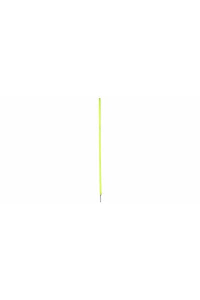Merco Băț de slalom cu vârf metalic, Neon Economy 170 cm