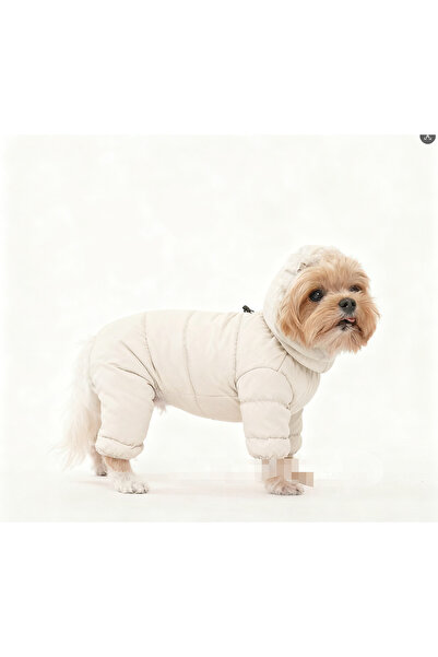 choice2 M 2.5-3KG WHITE Korean Teddy Poodle Small Dog Pet Dog Winter Clothes ...