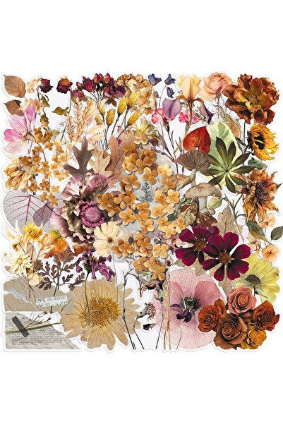 Choice 50 Transparent Dried Plant Stickers, Vintage Floral Dried Flower Speci...