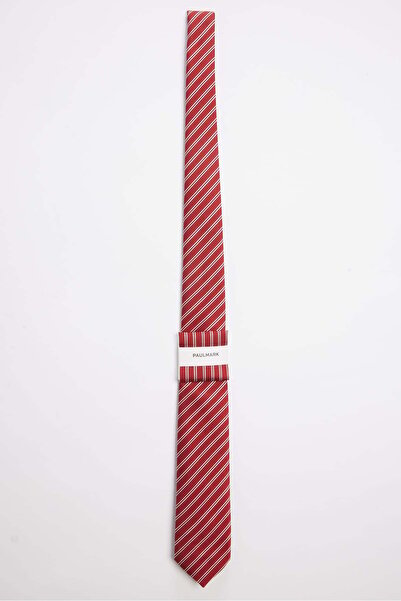 PAULMARK Men's Striped Classic Tie