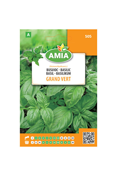 Amia Seminte de busuioc Grand Vert, 3 g