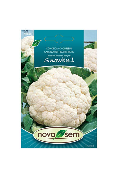 Novasem Seminte de conopida Snowball Novasem, 0,6 g