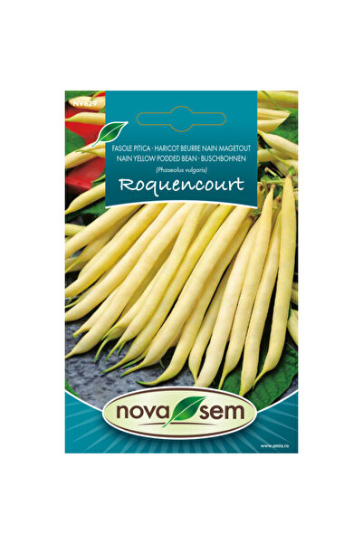 Novasem Seminte de fasole fideluta galbena pitica Rocquencourt Novasem, 7 g