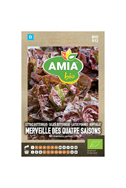 Amia Semințe bio de salată butterhead Merveille des Quatre Saisons, 3 g