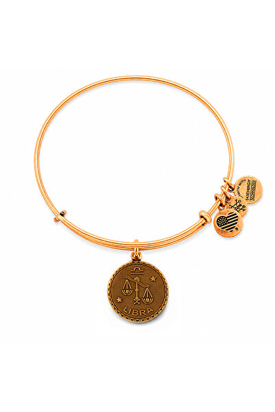 Alex and Ani Bratara Metal A07EB40LIRG