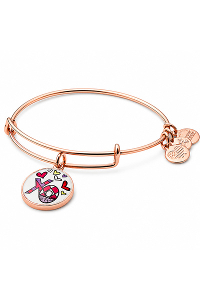 Alex and Ani Bratara Metal AS17RB02SR