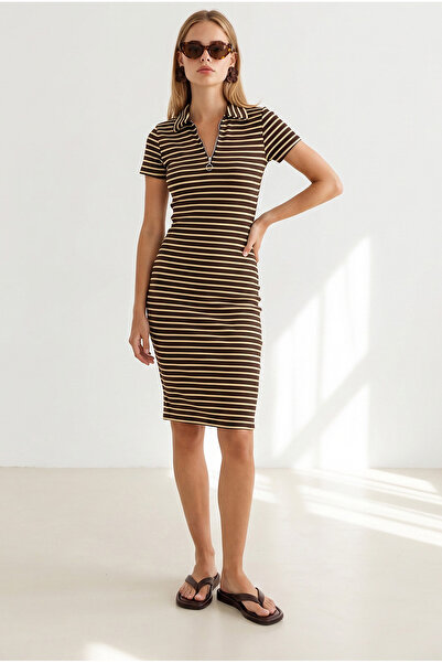 Olalook Women's Brown Zippered Polo Collar Ribbed Mini Dress Elb-19002660