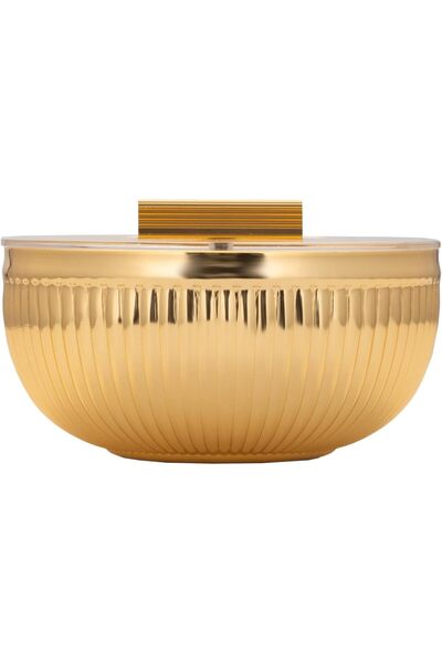 Generic Elan Date Bowl with Transparent Lid Keeps Food Fresh and Clean from A...