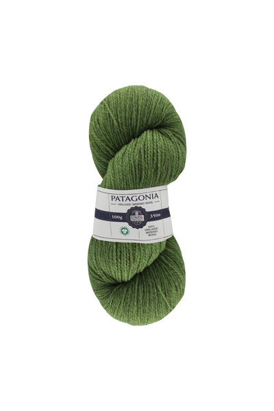 Etrofil Patagonia Knitting Yarn Light Green 100% Organic Merino Wool 100g 350...