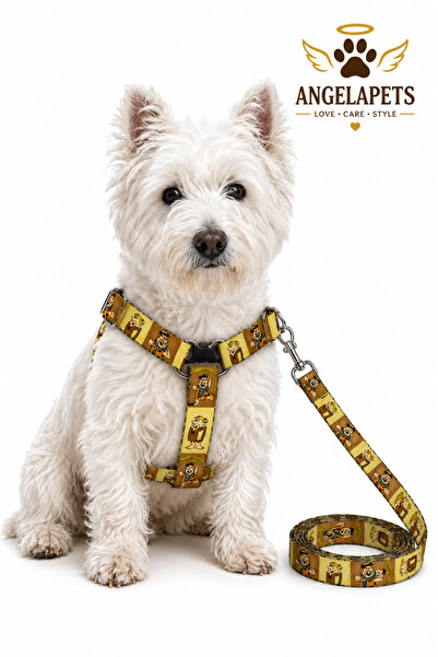 Angelapets Dog Chest Harness and Walking Strap Set