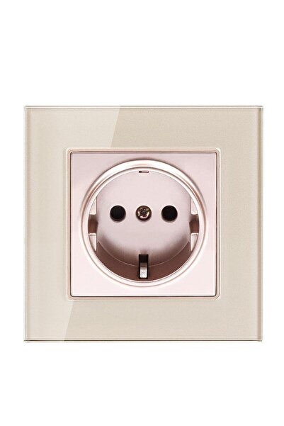 NewEra SmartHouse Simple socket with glass frame, gold