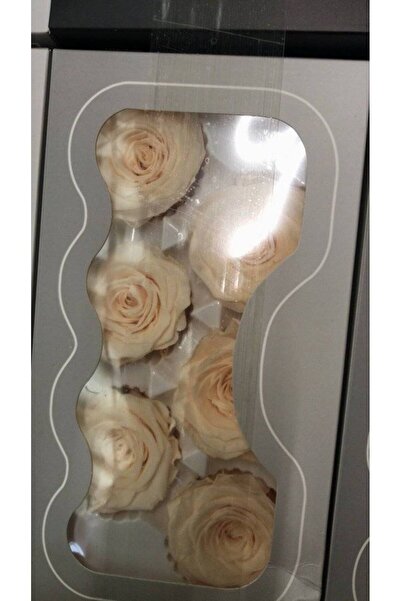 OEM Trandafiri criogenati, 6 bucati/cutie, diametru 6 cm Crem
