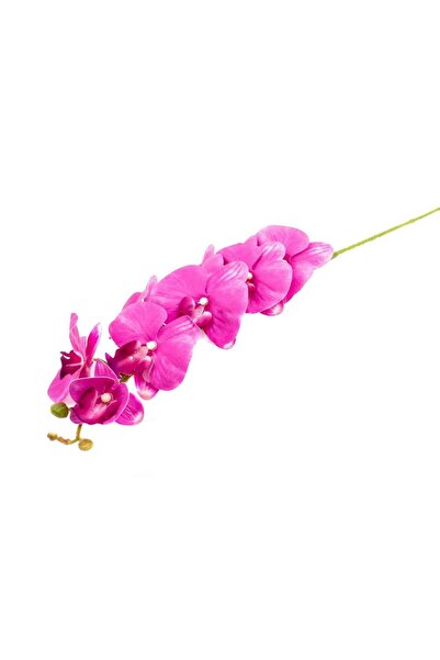 OEM Flori Artificiale Orhidee Ciclam 9/Fir