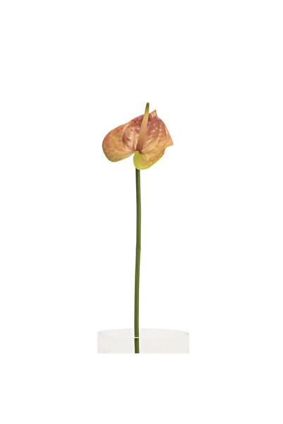 Midas Furniture ARTIFICIAL PLANT 66CM LIGHT ORANGE