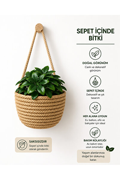 ÖRGÜM Yapay Çiçek Mini Sepetli Dekoratif Bitkili Mini Duvar Sepeti 10x10 Cm
