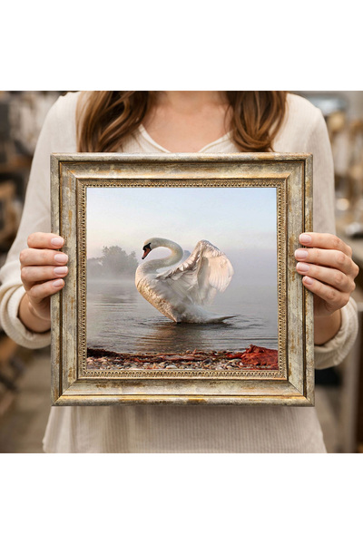 Dekorsiahome Antique Framed Decorative Painting Dk0316