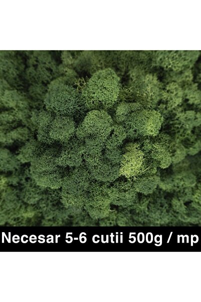 Roberto Rossi Licheni curatati si fara radacina conservati 500g NET, calitate...