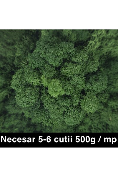 Roberto Rossi Canned cleaned and rootless lichens 500g NET, ULTRA PREMIUM qua...