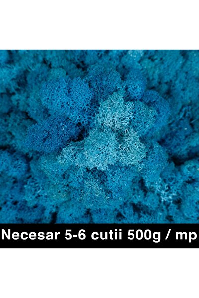 Roberto Rossi Licheni curatati si fara radacina conservati 500g NET, calitate...