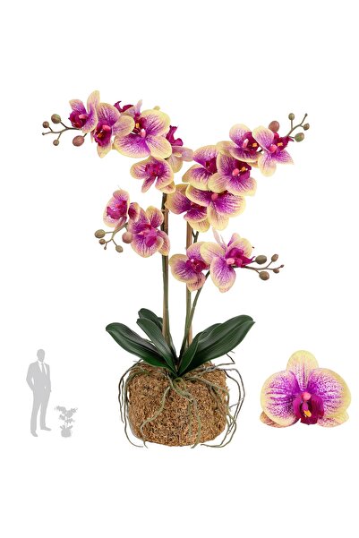Roberto Rossi Orhidee artificiala roz cu galben cu aspect H59 cm cu 3 tulpini