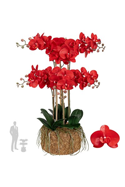 Roberto Rossi Orhidee artificiala rosie cu aspect H72 cm cu 6 tulpini