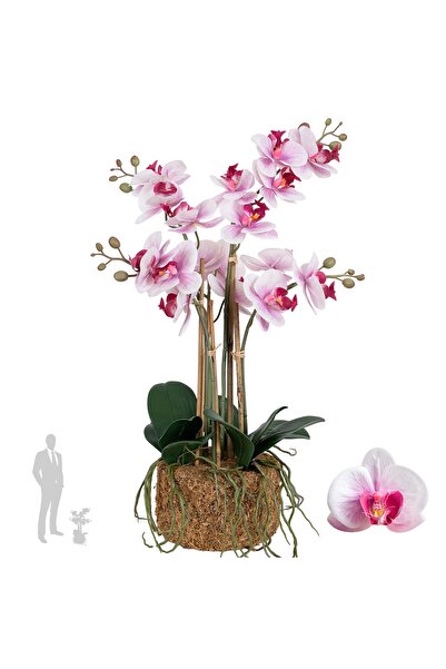 Roberto Rossi Orhidee artificiala roz cu alb cu aspect H54 cm cu 5 tulpini