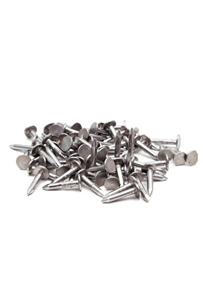 Tuna ŞINGIL ÇİVİSİ 2 cm 250 adet