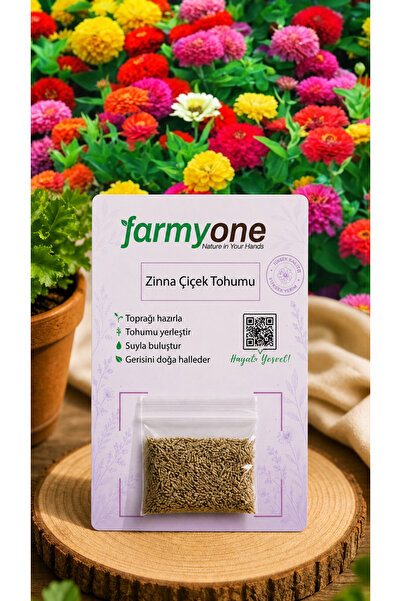 farmyone Zinna Çiçek Tohumu 50 Adet