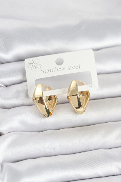 Clariss 316L Steel Gold Color Diamond Model Hoop Women's Earrings